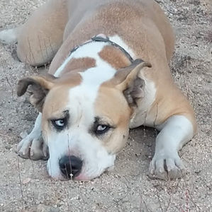 Meet your Posher, Natacha